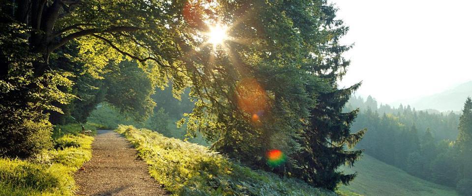 Landgasthof Kirchmayer Farchant Ngoại thất bức ảnh